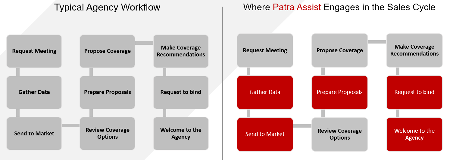 Patra Assist Insurance Outsourcing